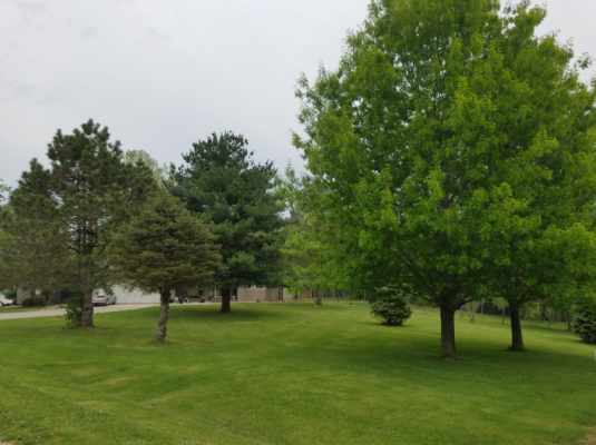 Rysher Farms Grounds