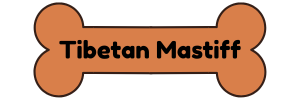 Tibetan-Mastiff