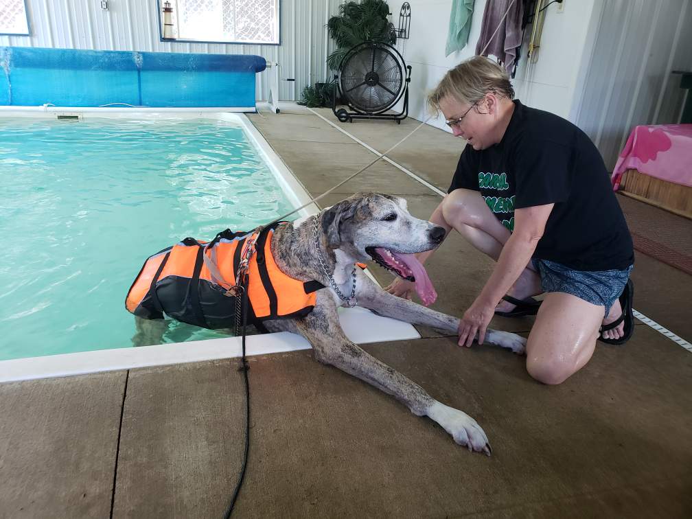 Hydrotherapy