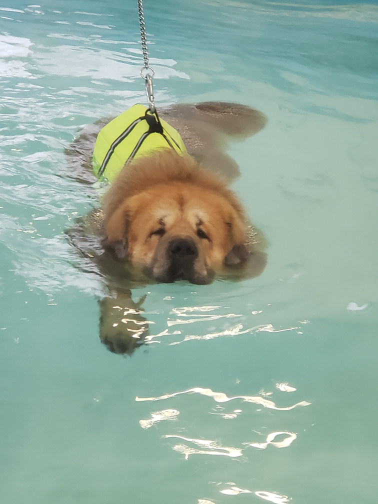 Hydrotherapy