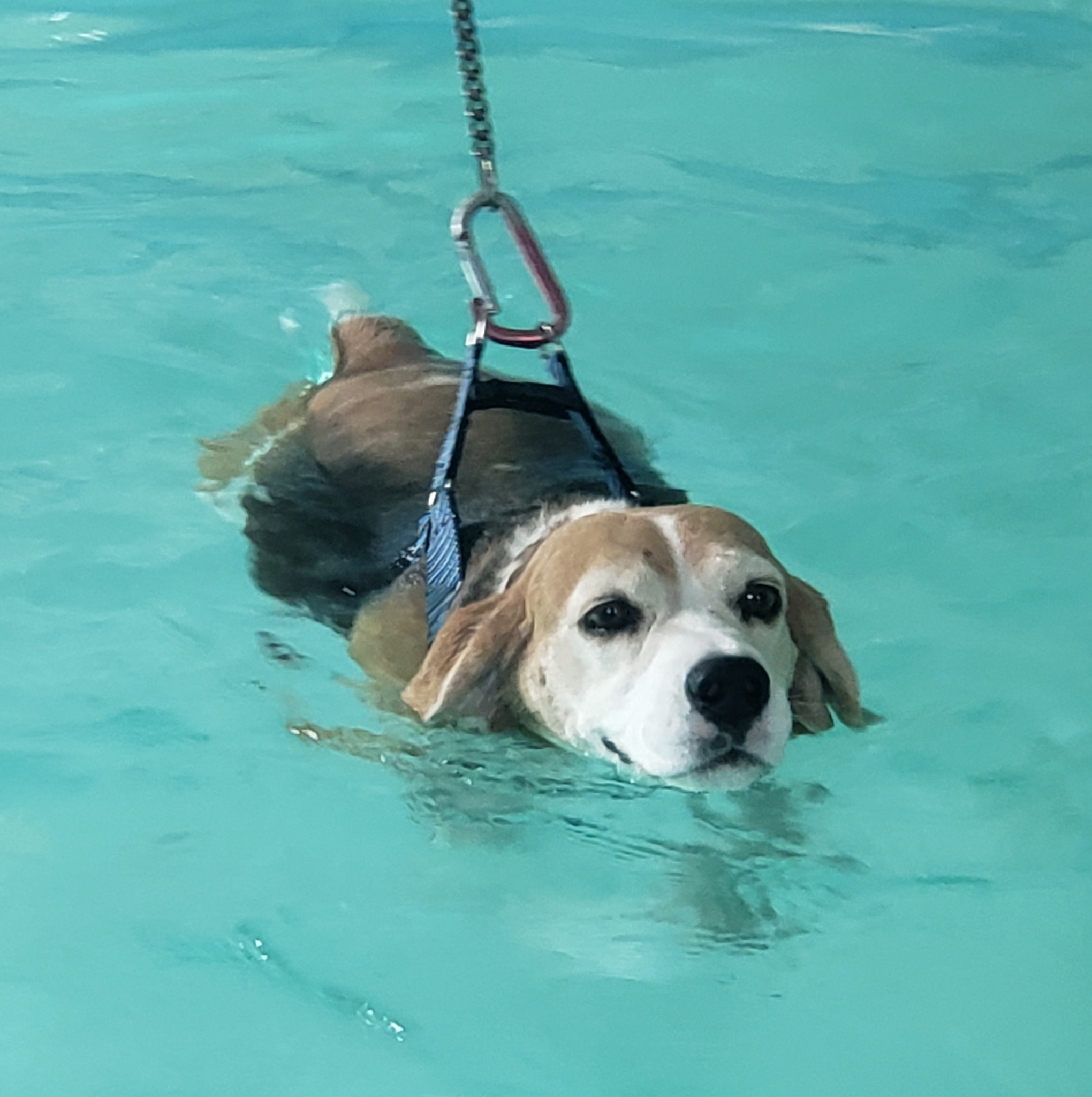 Hydrotherapy