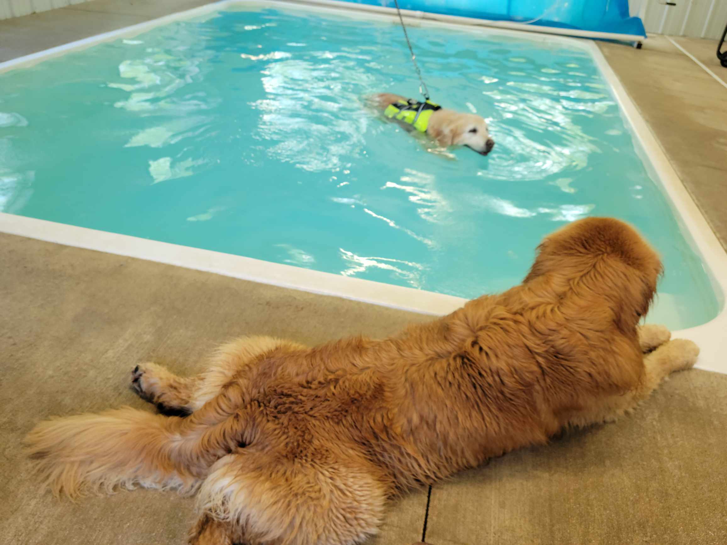 Hydrotherapy