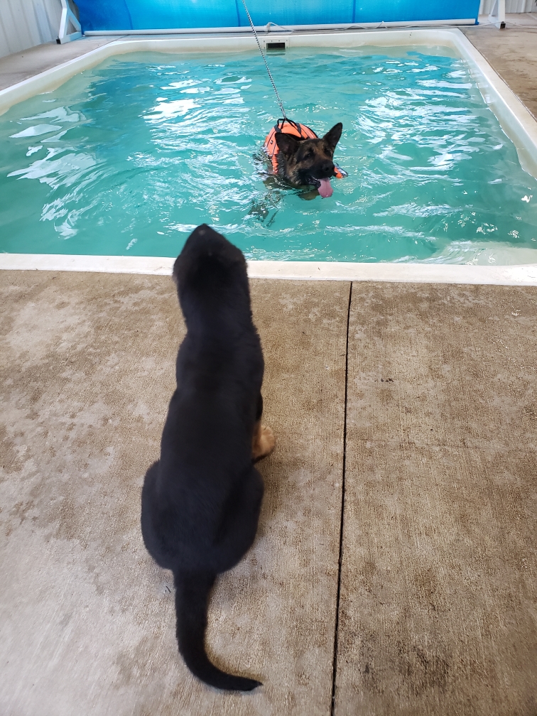 Hydrotherapy