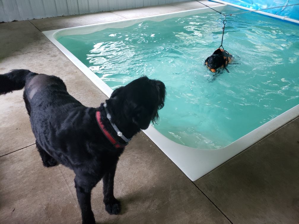 Hydrotherapy