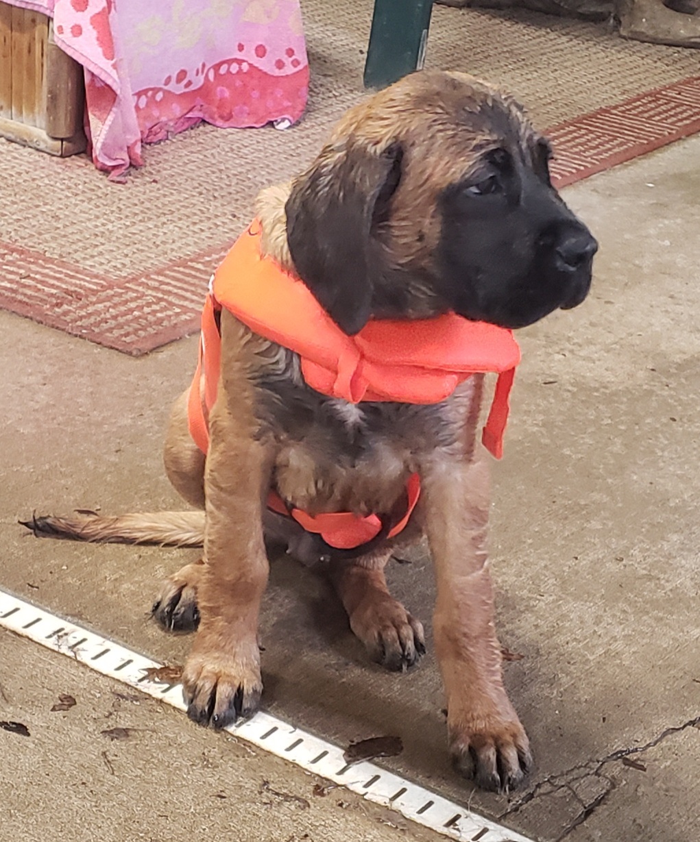 Hydrotherapy