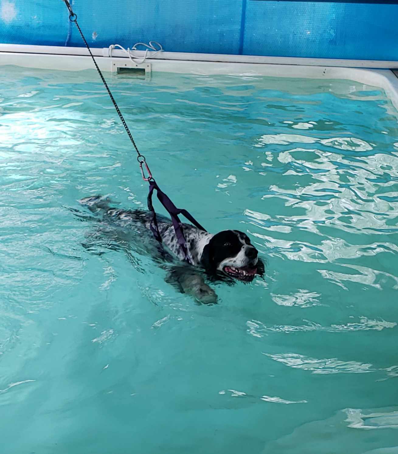 Hydrotherapy